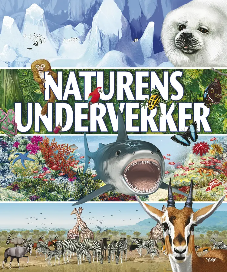 Omslag Naturens underverker av David Burnie (Innbundet)
