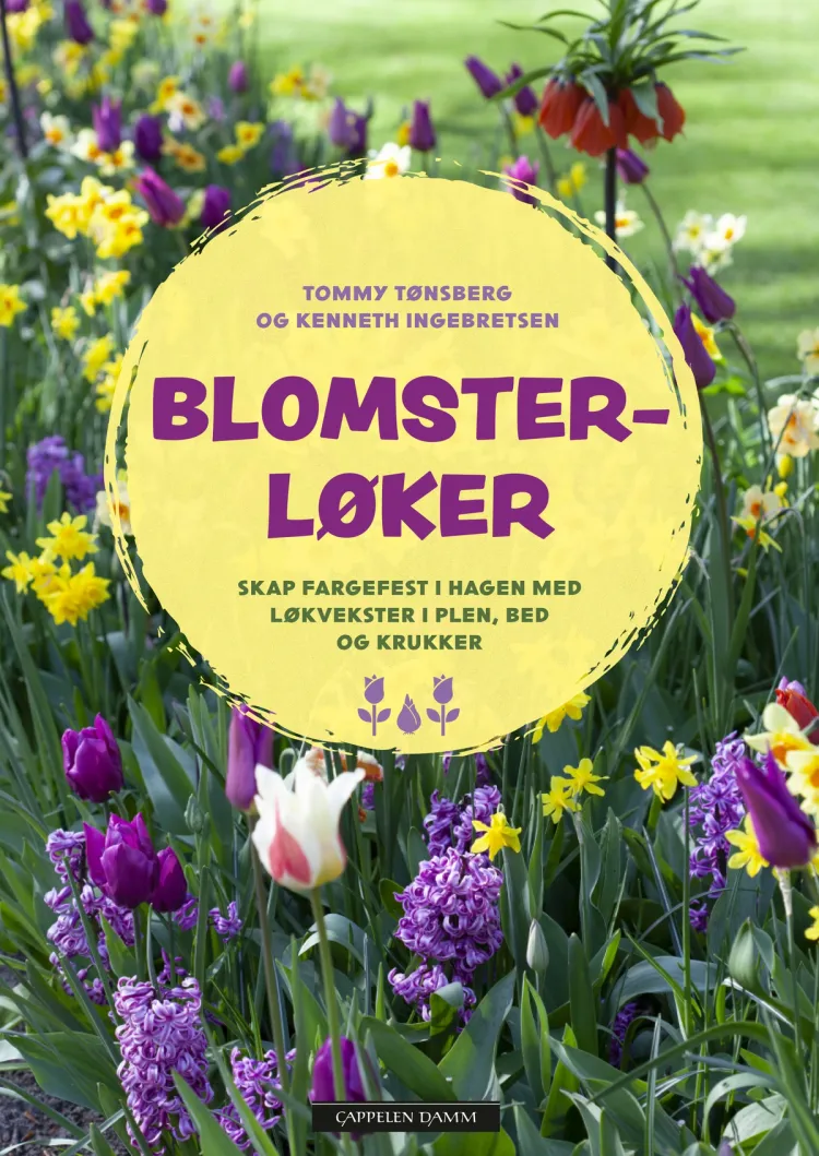 Omslag Blomsterløker av Kenneth Ingebretsen og Tommy Tønsberg (Innbundet)
