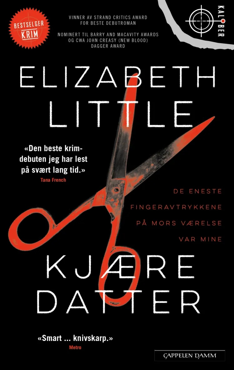 Omslag Kjære datter av Elizabeth Little (Heftet)