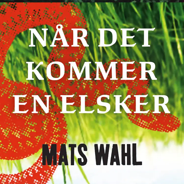Omslag Når det kommer en elsker av Mats Wahl (Lydbok)