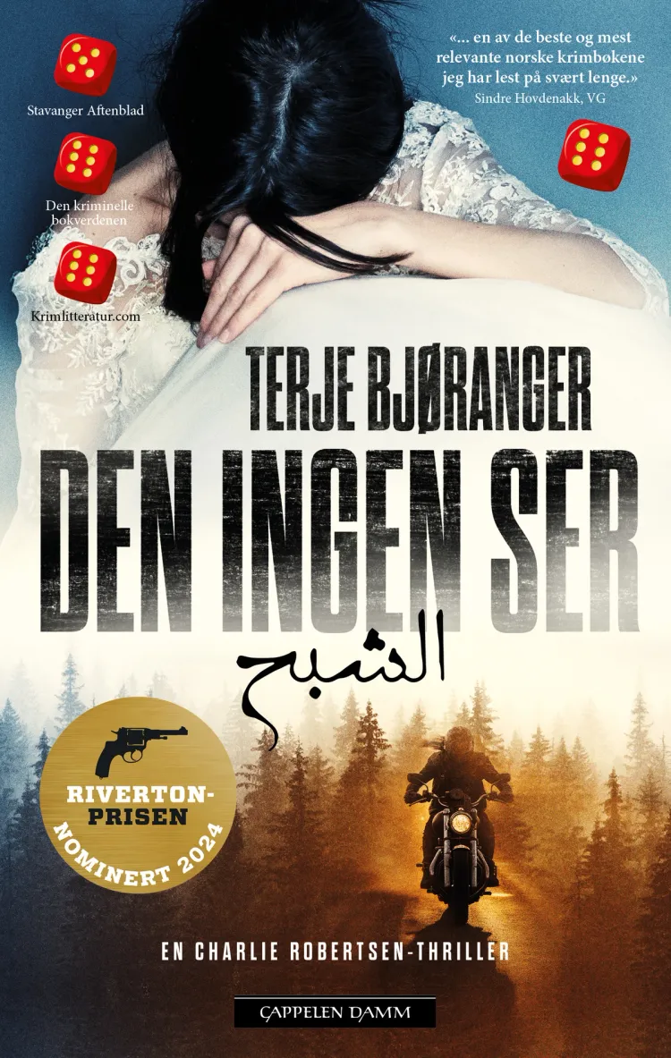 Omslag Den ingen ser av Terje Bjøranger (Heftet)