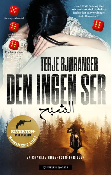 Omslag Den ingen ser av Terje Bjøranger (Heftet)