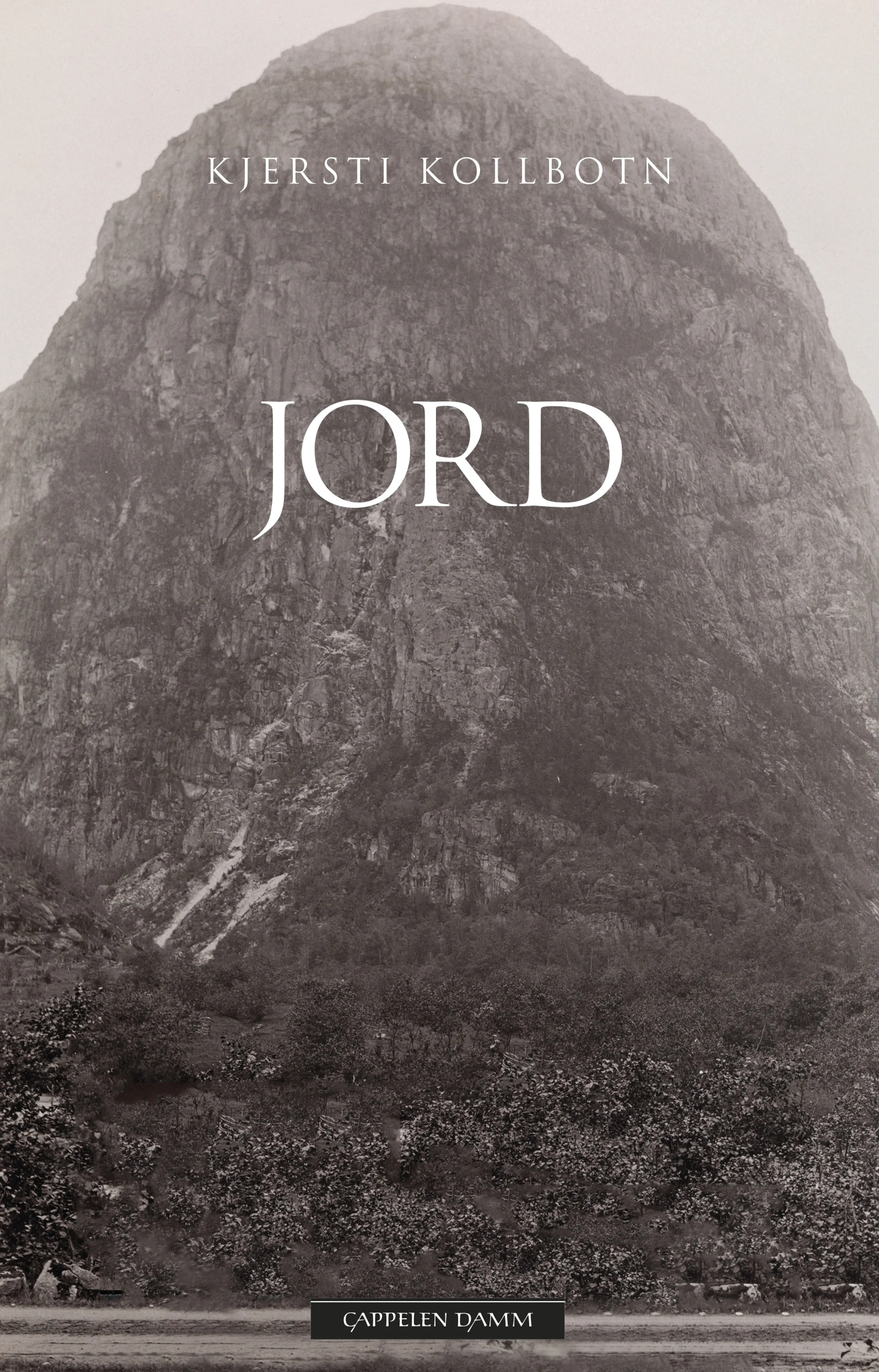 Omslag Jord av Kjersti Kollbotn (Innbundet)