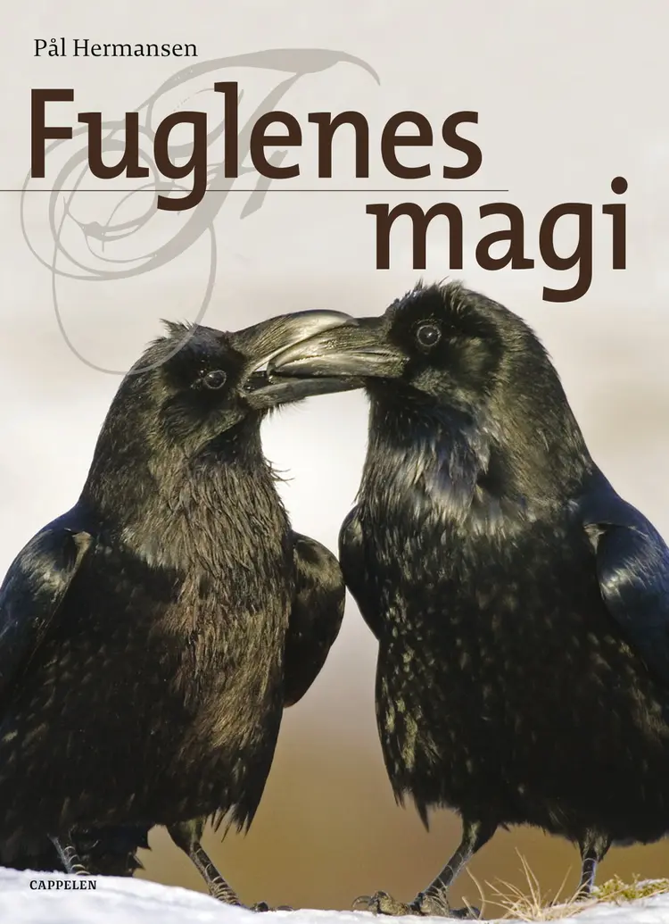 Omslag Fuglenes magi av Pål Hermansen (Innbundet)