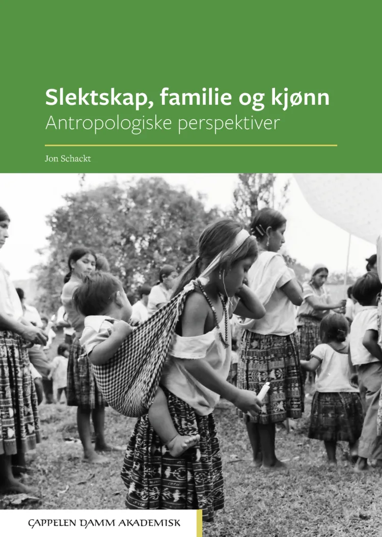 Omslag Slektskap, familie og kjønn av Jon Schackt (Heftet)