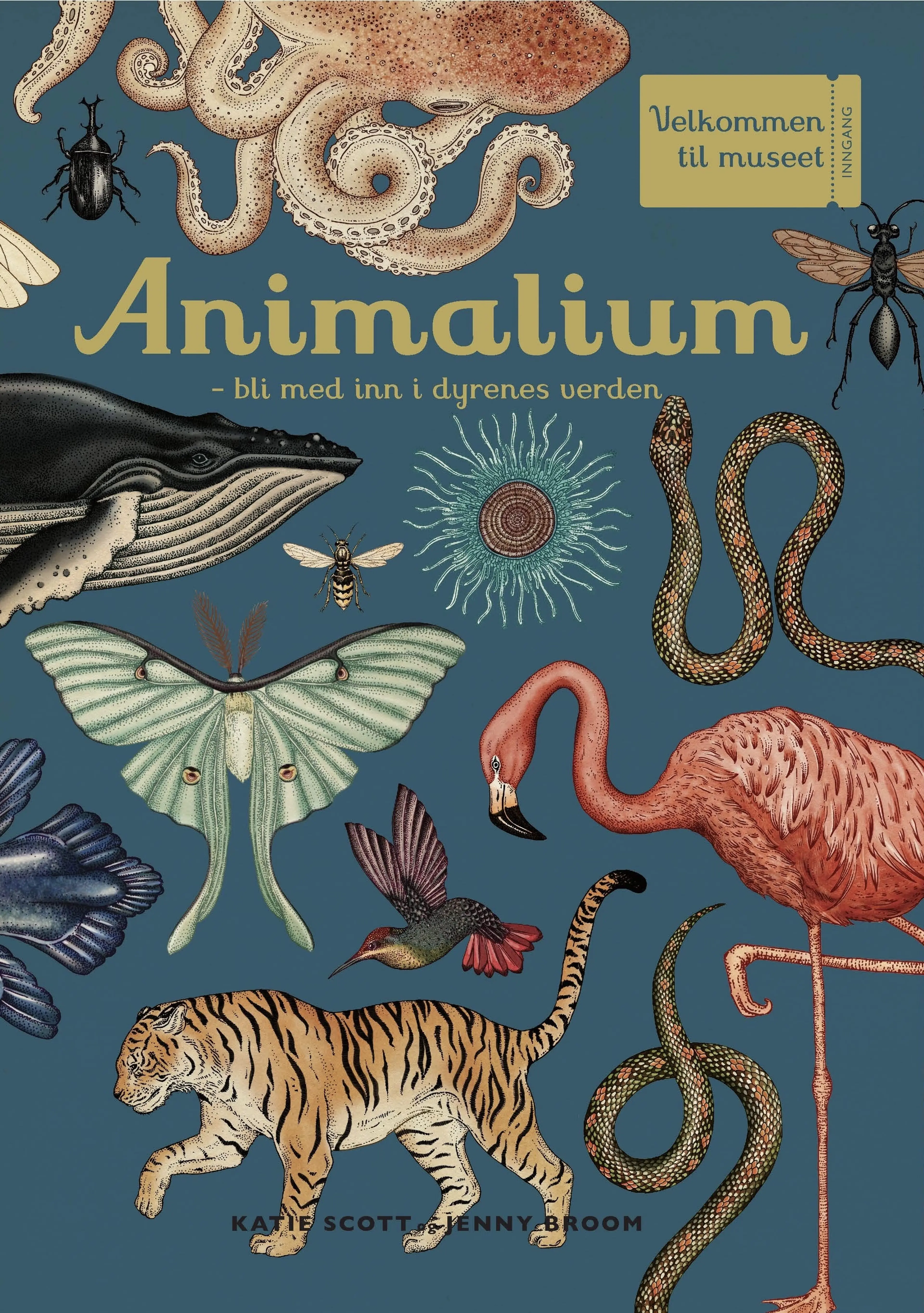 Omslag Animalium av Katie Scott og Jenny Broom (Innbundet)