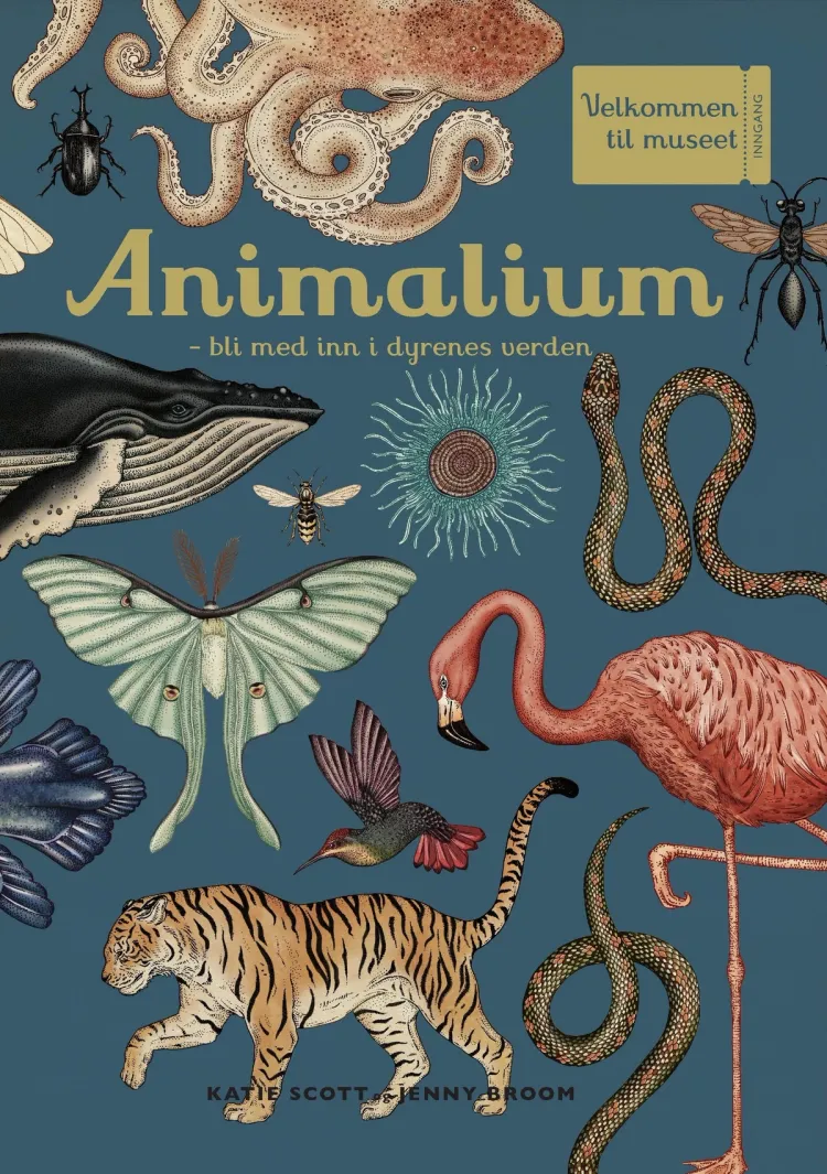Omslag Animalium av Katie Scott og Jenny Broom (Innbundet)