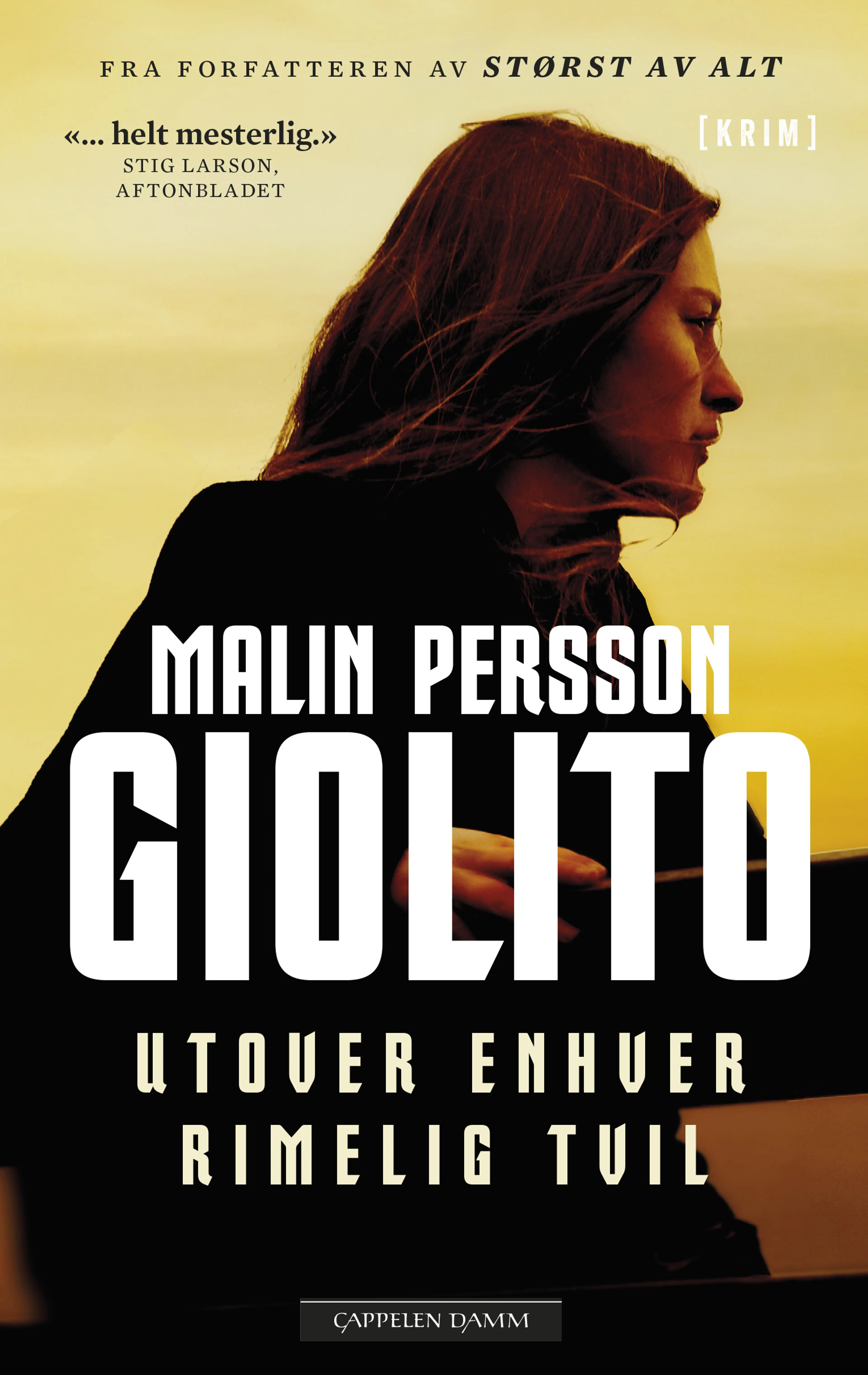 Omslag Utover enhver rimelig tvil av Malin Persson Giolito (Heftet)