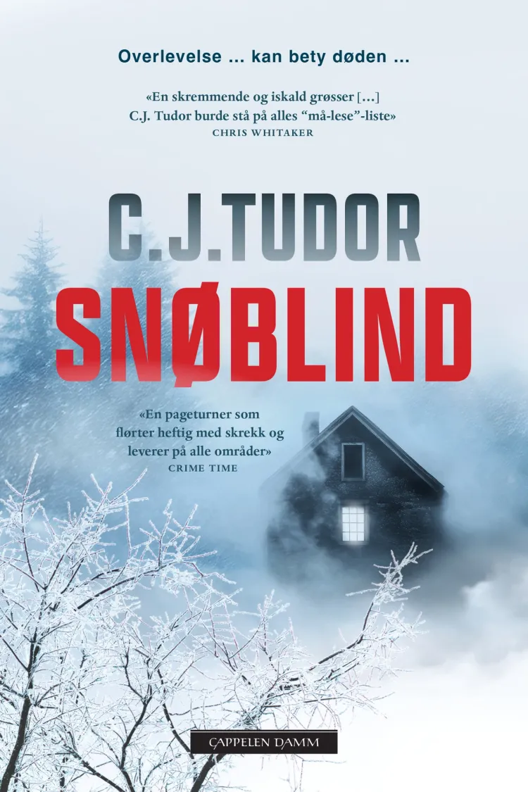 Omslag Snøblind av C.J. Tudor (Ebok)