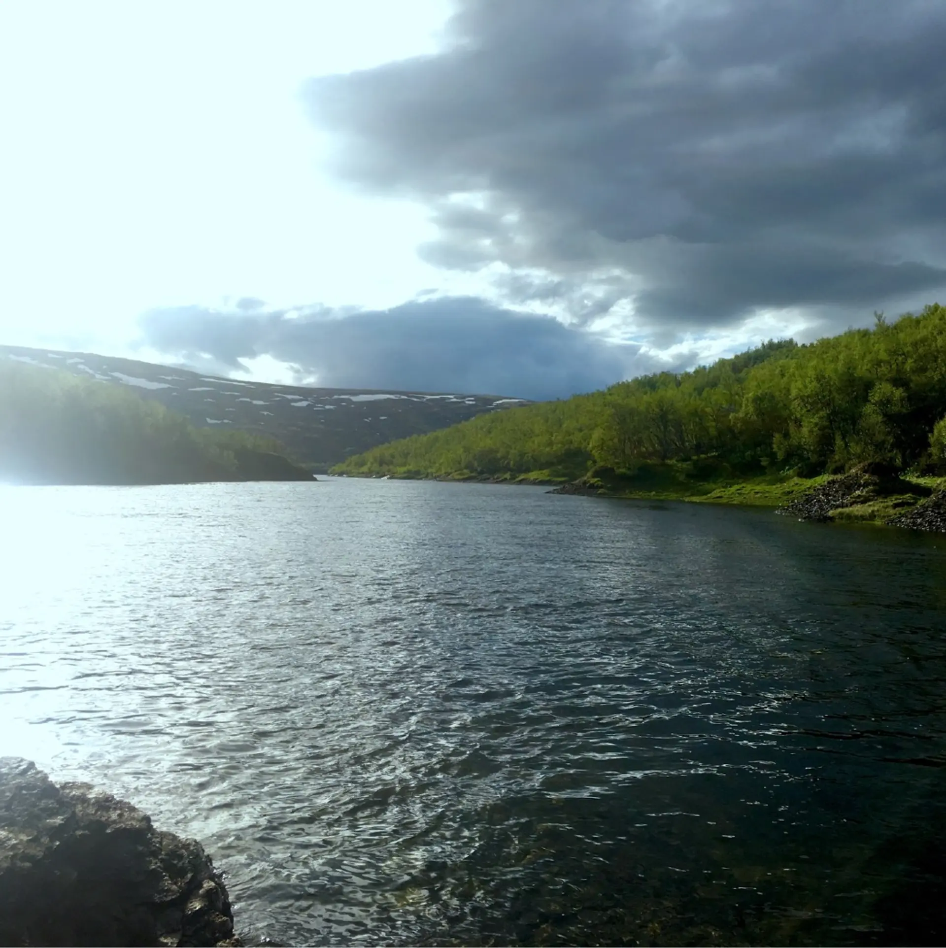 Fjellvann
