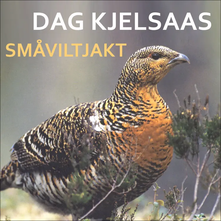 Omslag Småviltjakt av Dag Kjelsaas (Nedlastbar lydbok)