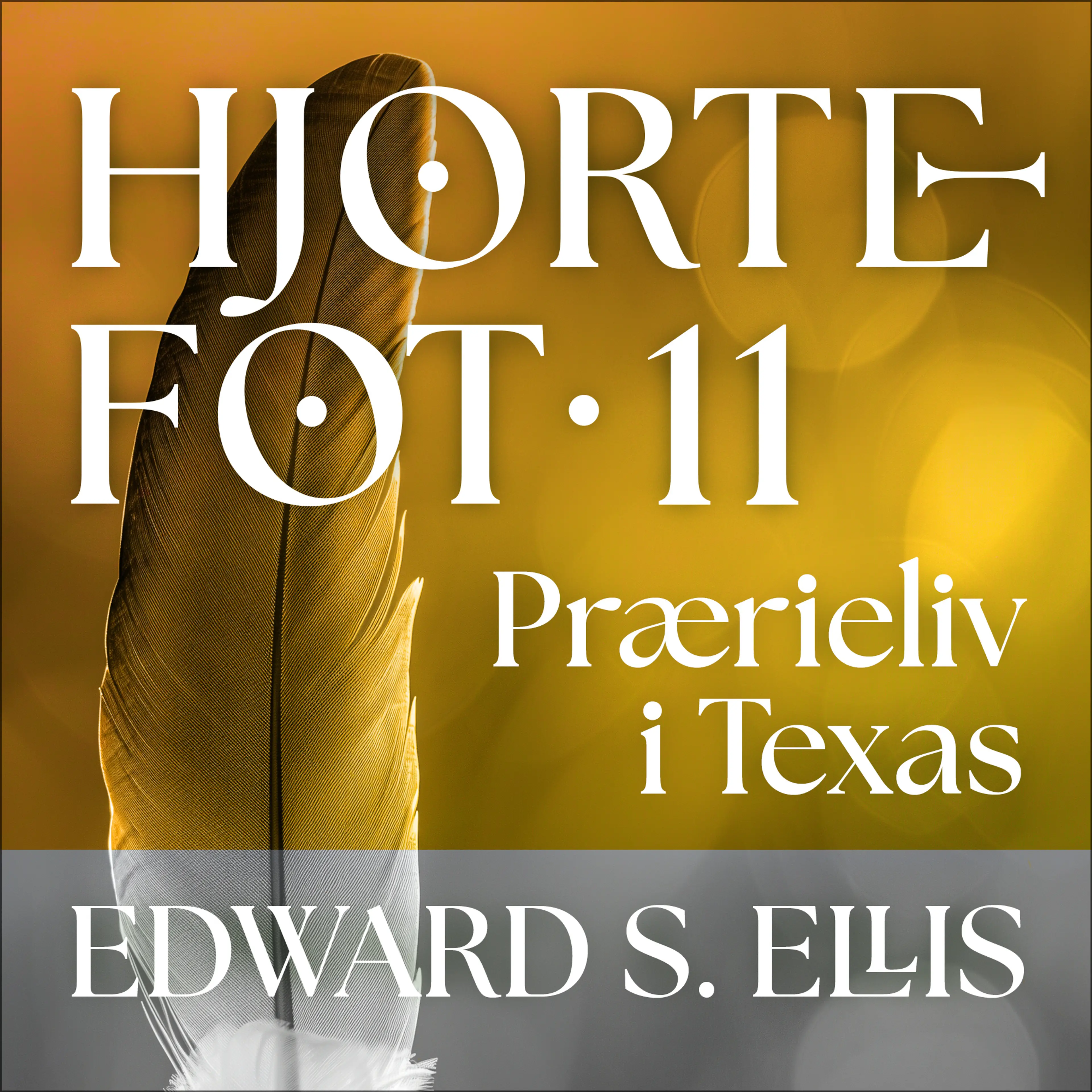 Omslag Prærieliv i Texas av Edward S. Ellis (Lydbok)