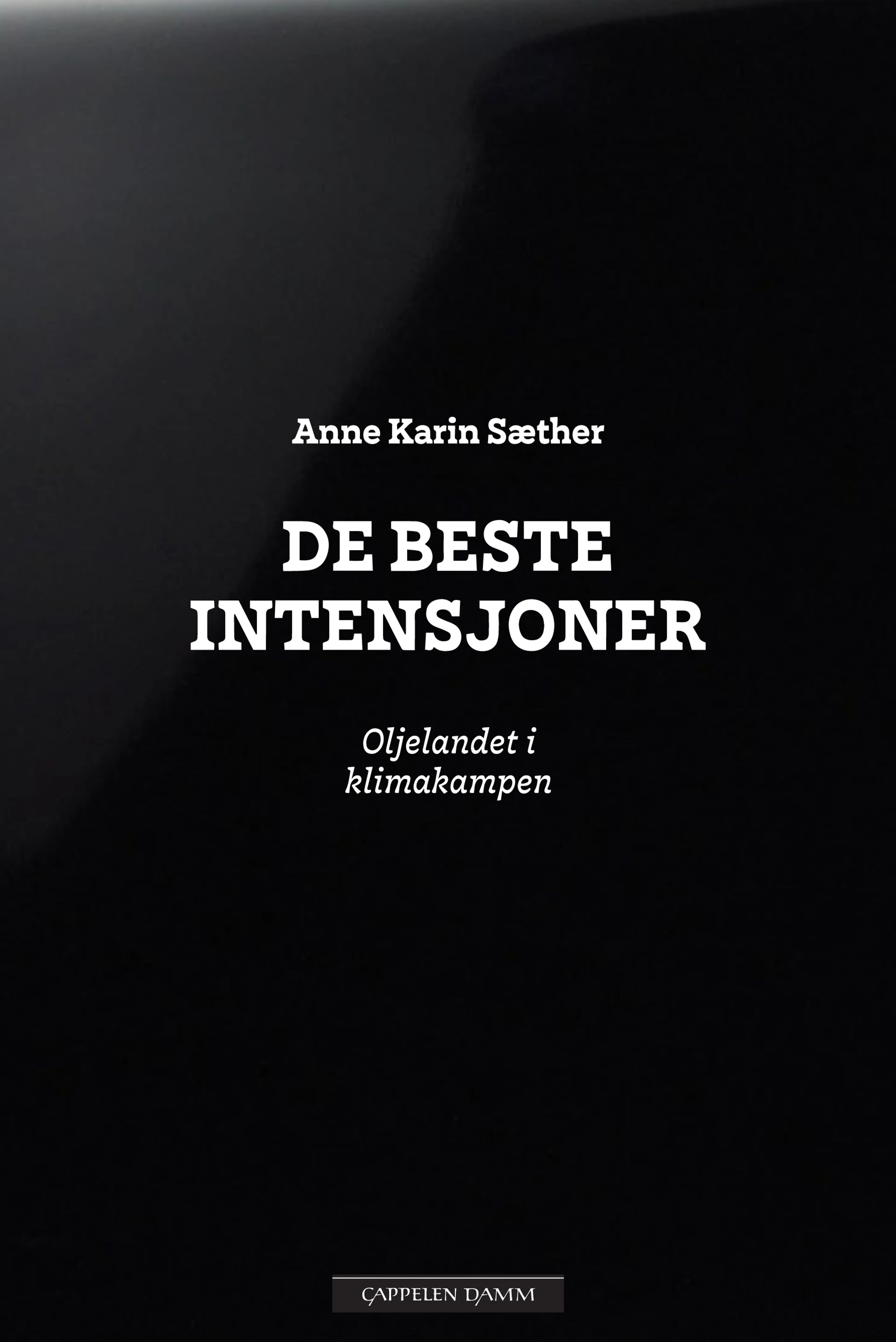 Omslag De beste intensjoner av Anne Karin Sæther (Ebok)