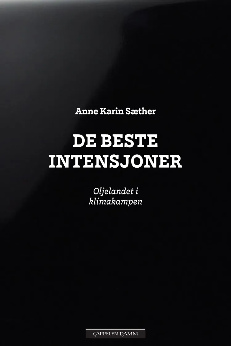 Omslag De beste intensjoner av Anne Karin Sæther (Ebok)