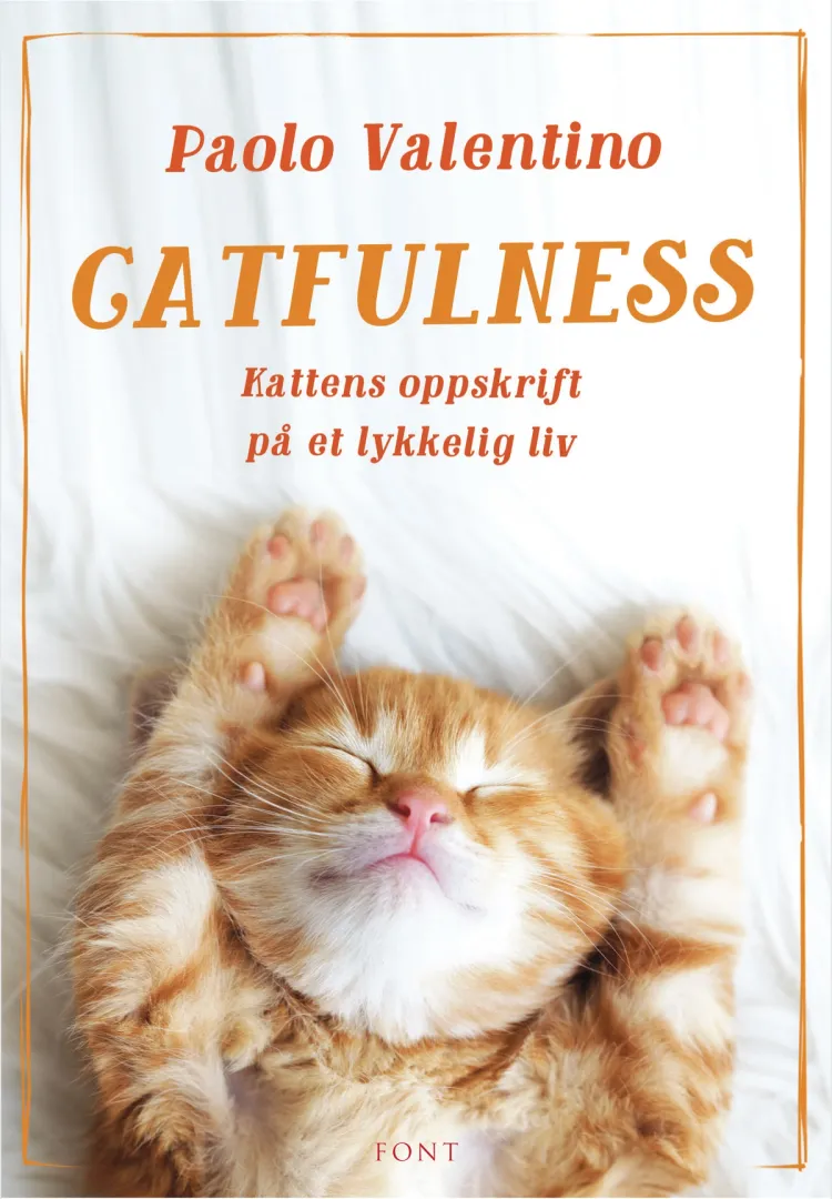 Omslag Catfulness av Paolo Valentino (Innbundet)