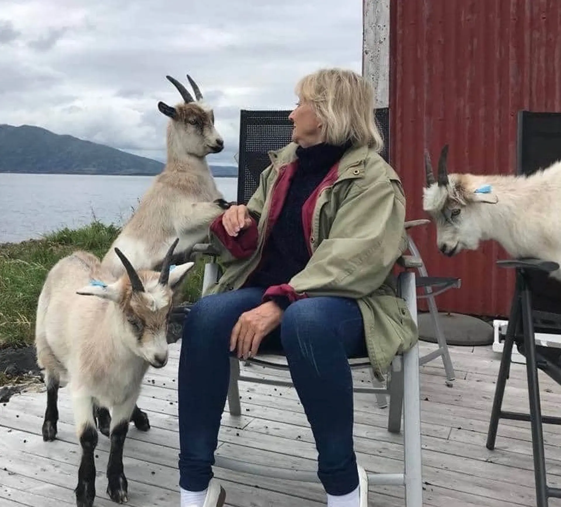 Geiter og Ellinor Rafaelsen på Herøy, Helgeland