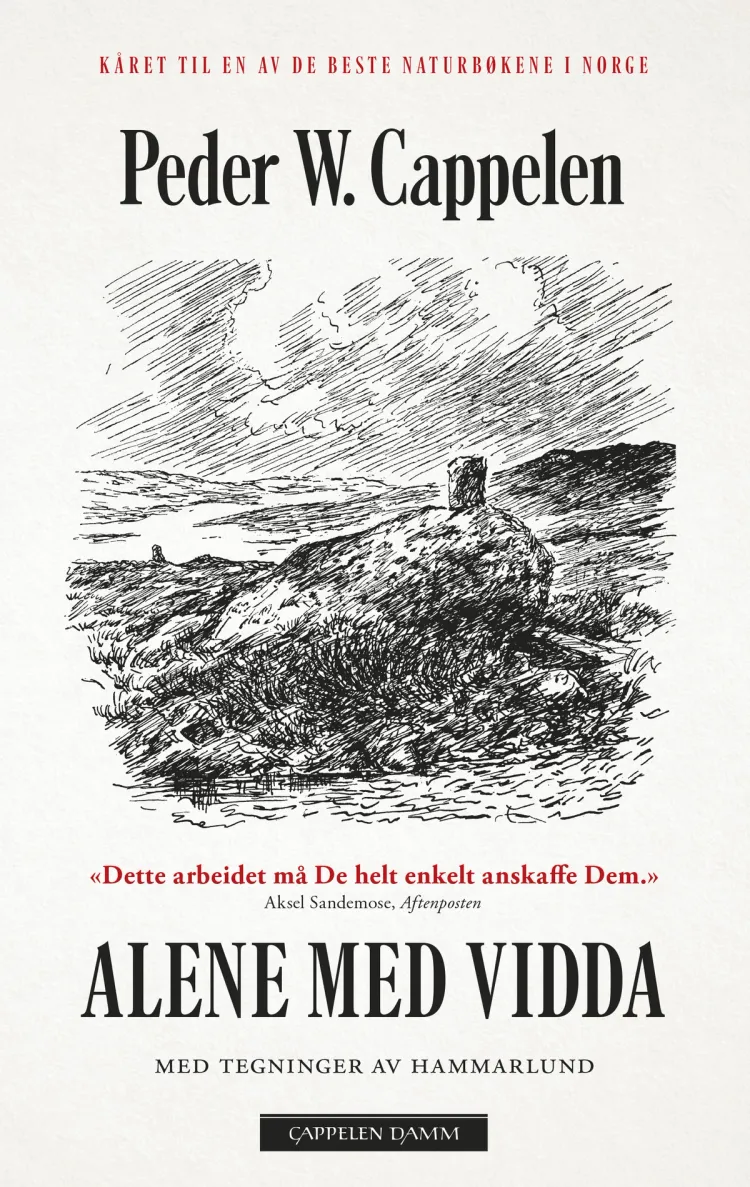 Omslag Alene med Vidda av Peder W. Cappelen (Innbundet)