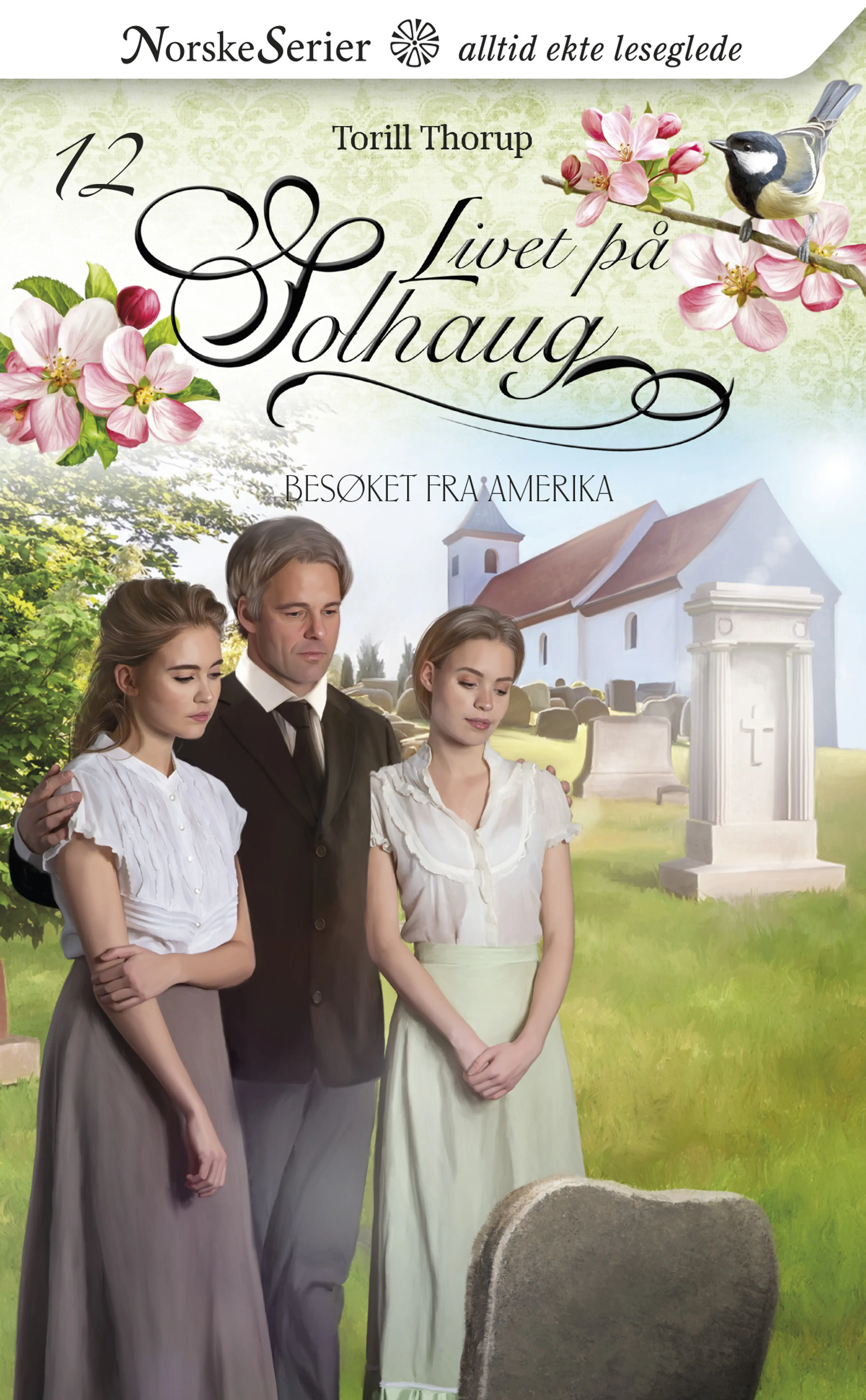 Omslag Besøket fra Amerika av Torill Thorup (Ebok)