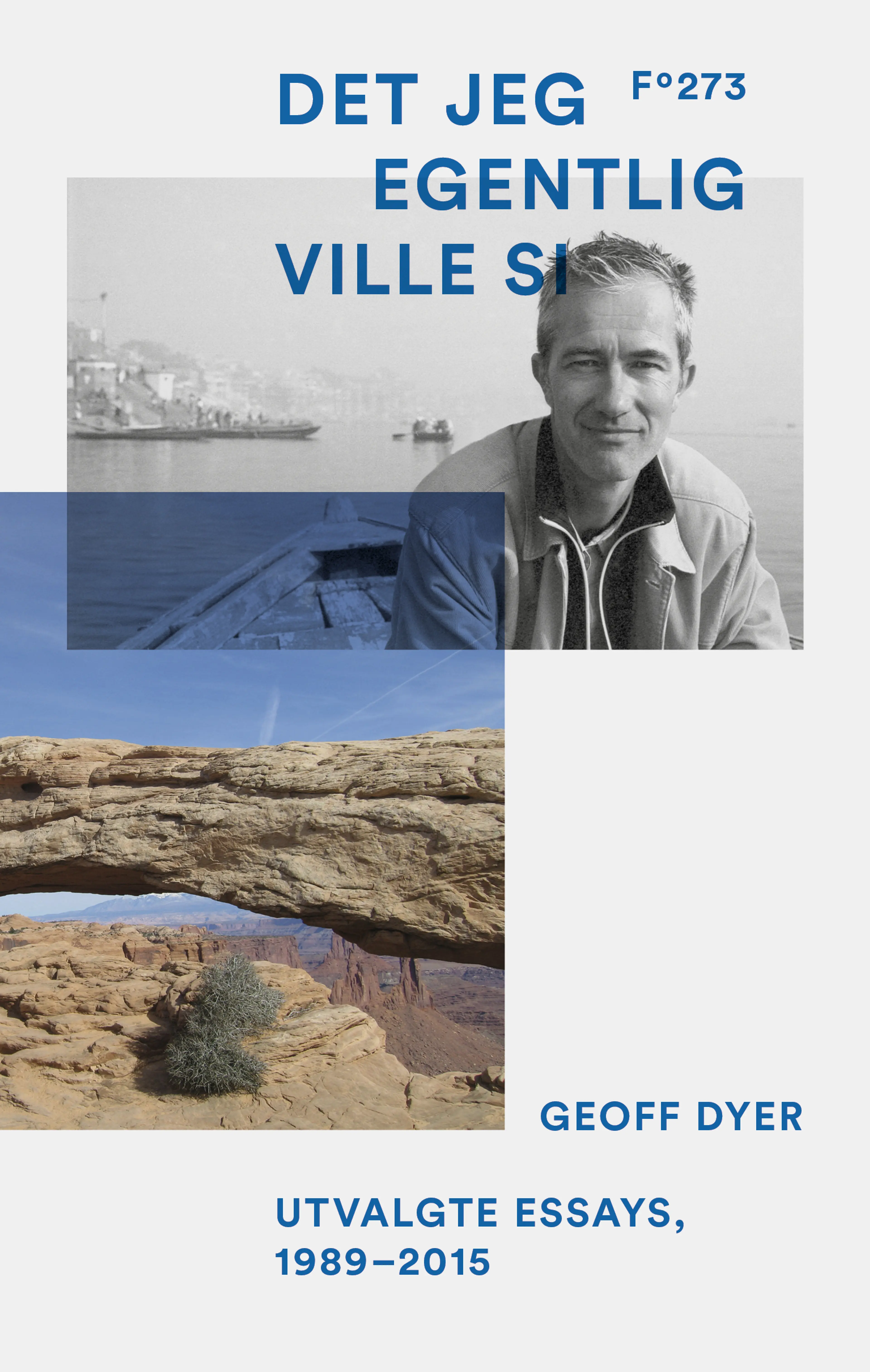 Omslag Det jeg egentlig ville si av Geoff Dyer (Heftet)