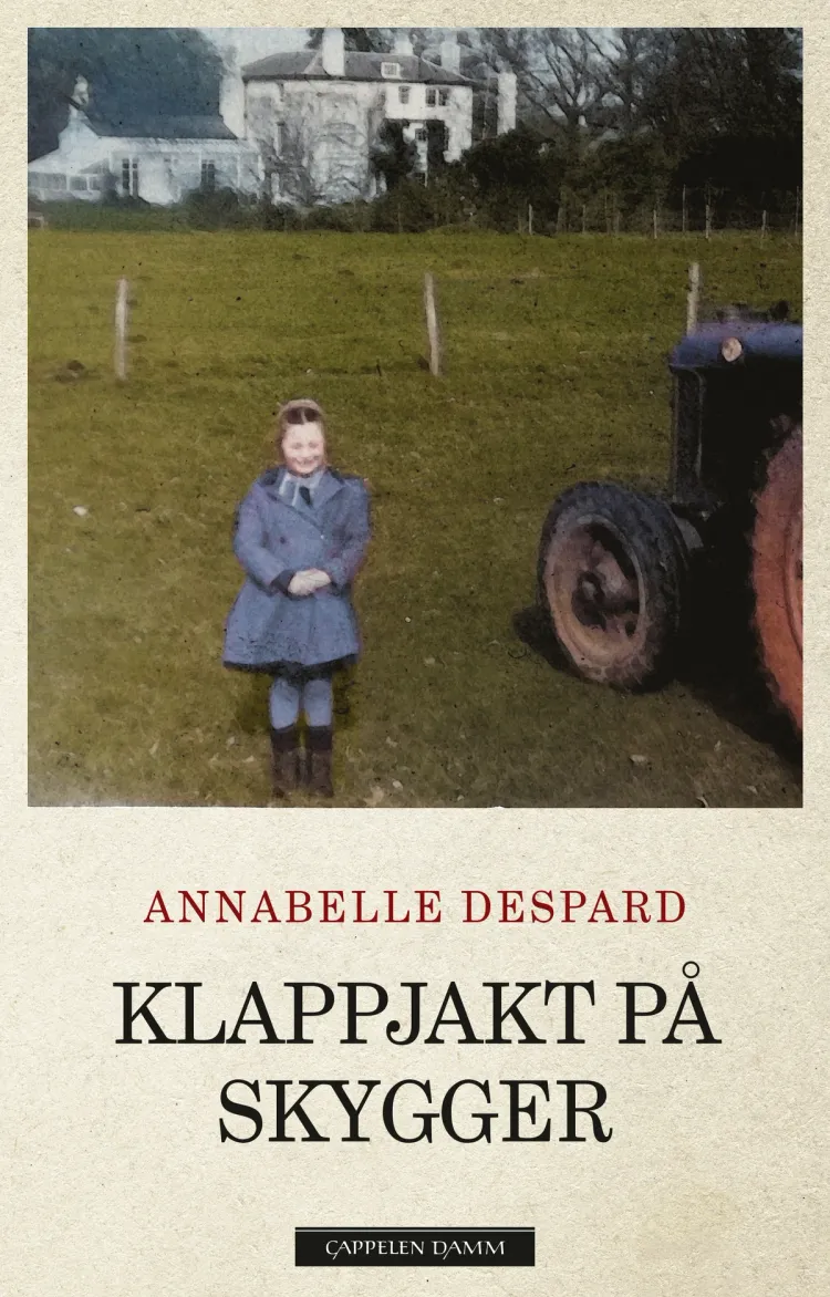 Omslag Klappjakt på skygger av Annabelle Despard (Ebok)