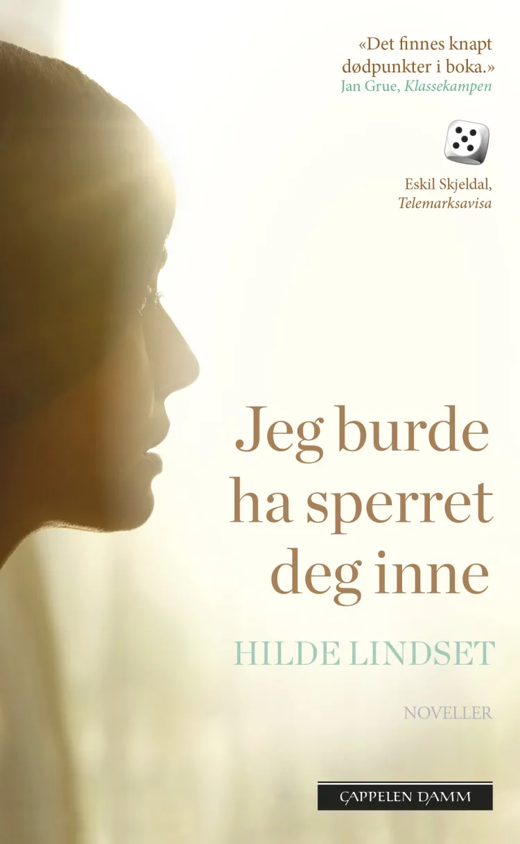 Omslag Jeg burde ha sperret deg inne av Hilde Lindset (Heftet)