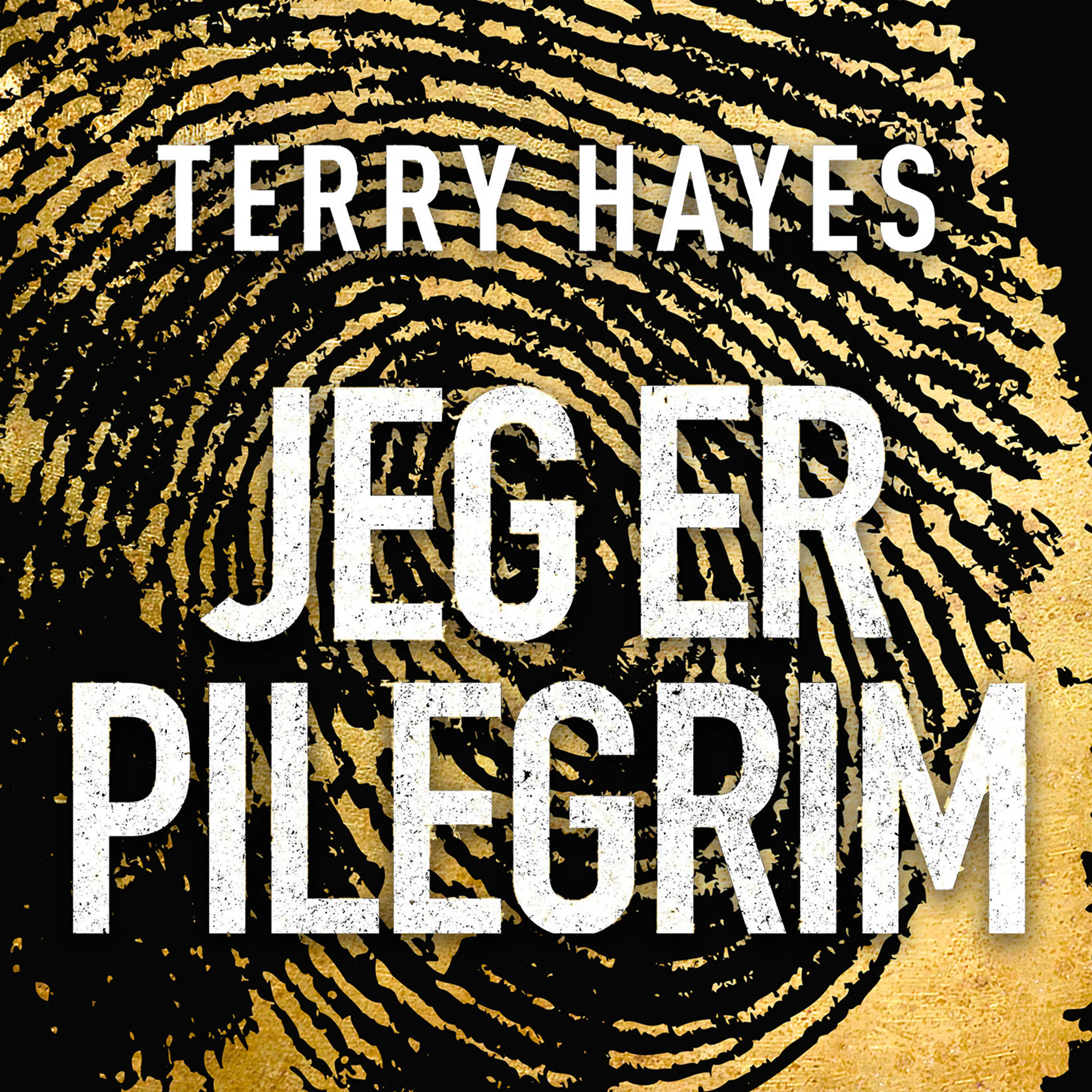 Omslag Jeg er Pilegrim av Terry Hayes (Lydbok)