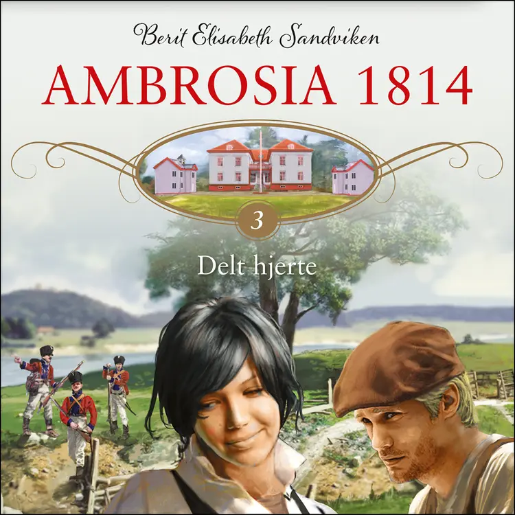 Omslag Delt hjerte av Berit Elisabeth Sandviken (Lydbok)