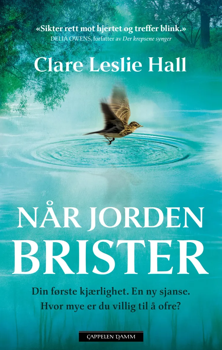 Omslag Når jorden brister av Clare Leslie Hall (Innbundet)
