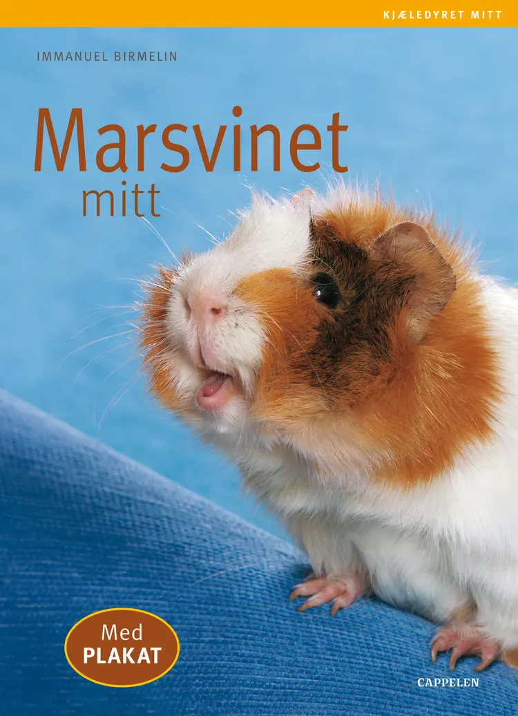 Omslag Marsvinet mitt av Immanuel Birmelin (Heftet)