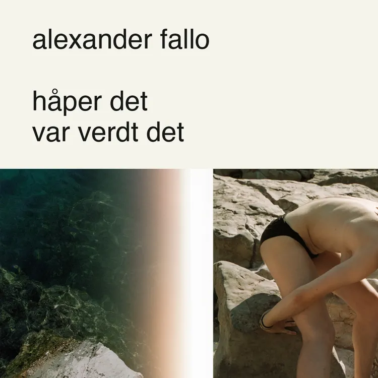 Omslag håper det var verdt det av Alexander Fallo (Lydbok)