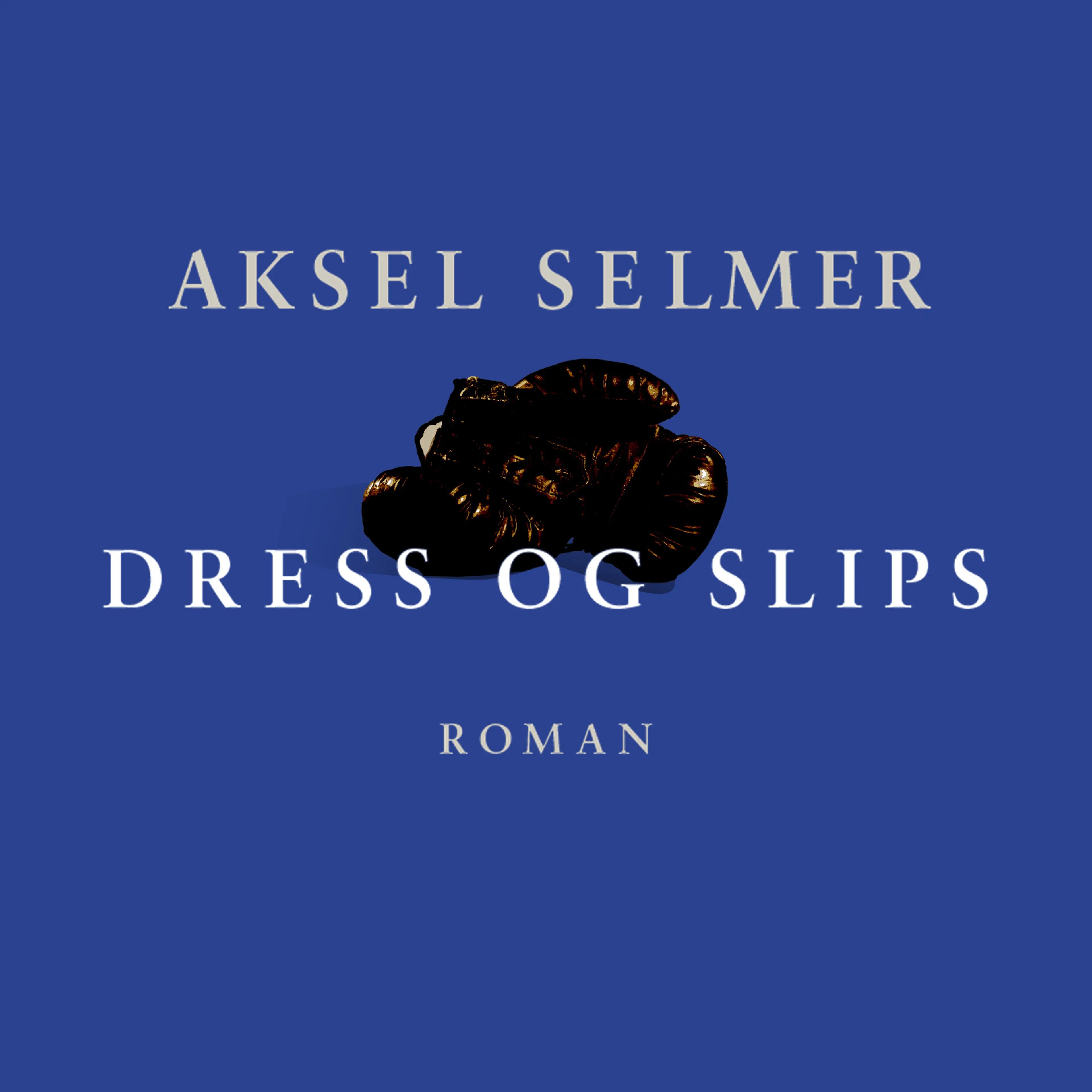 Omslag Dress og slips av Aksel Selmer (Lydbok)