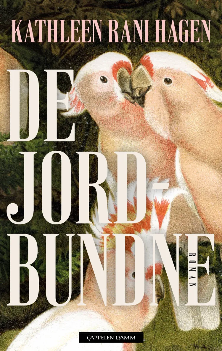 Omslag De jordbundne av Kathleen Rani Hagen (Ebok)