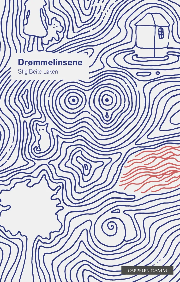 Omslag Drømmelinsene av Stig Beite Løken (Ebok)