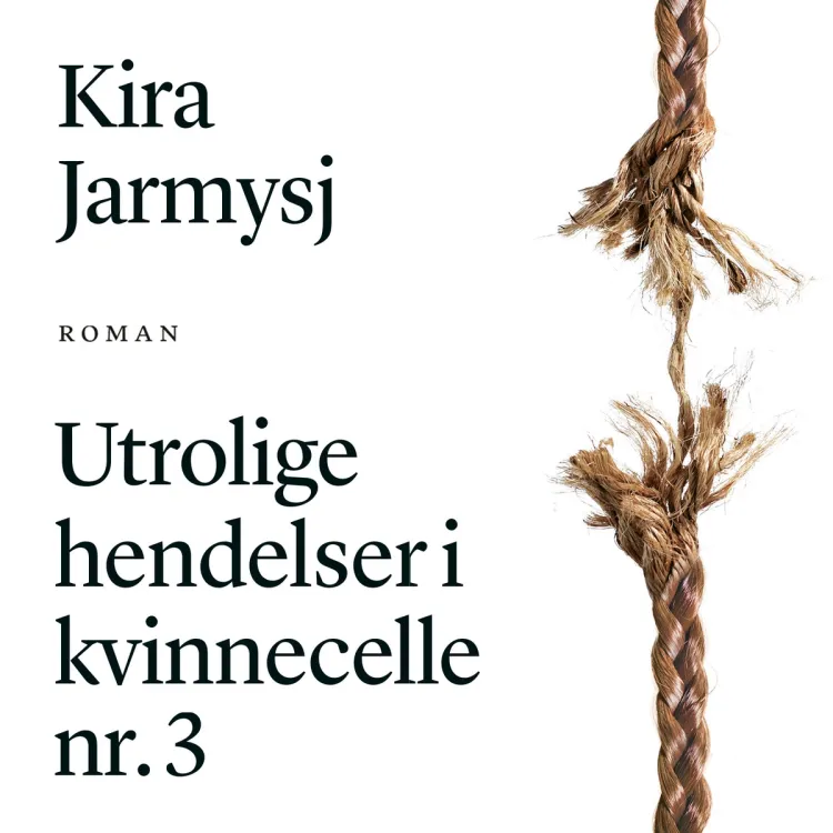 Omslag Utrolige hendelser i kvinnecelle nr. 3 av Kira Jarmysj (Lydbok)