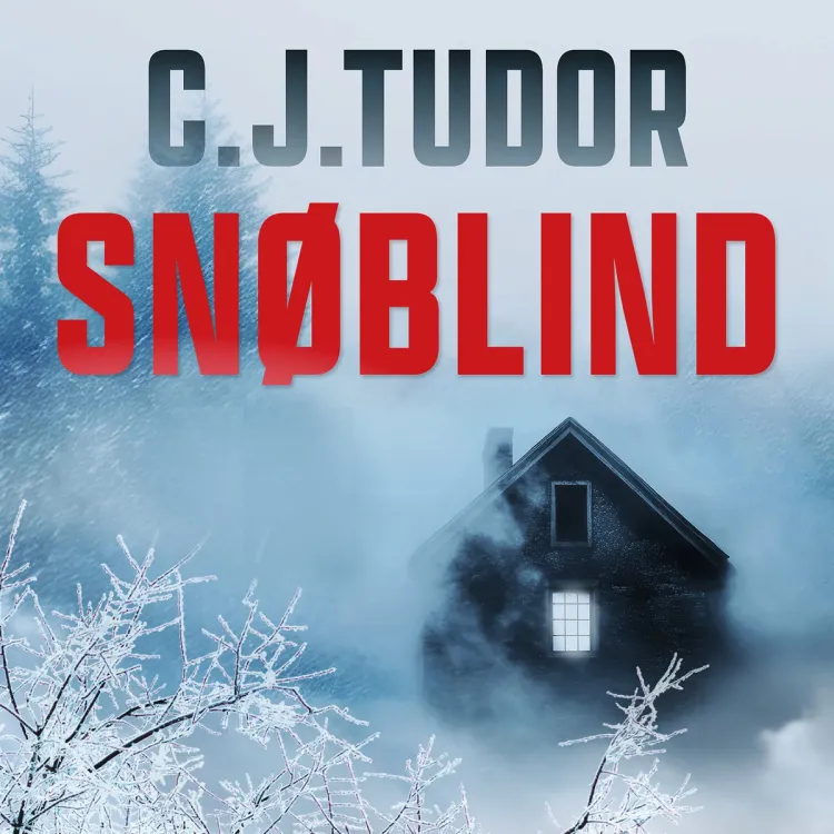 Omslag Snøblind av C.J. Tudor (Lydbok)