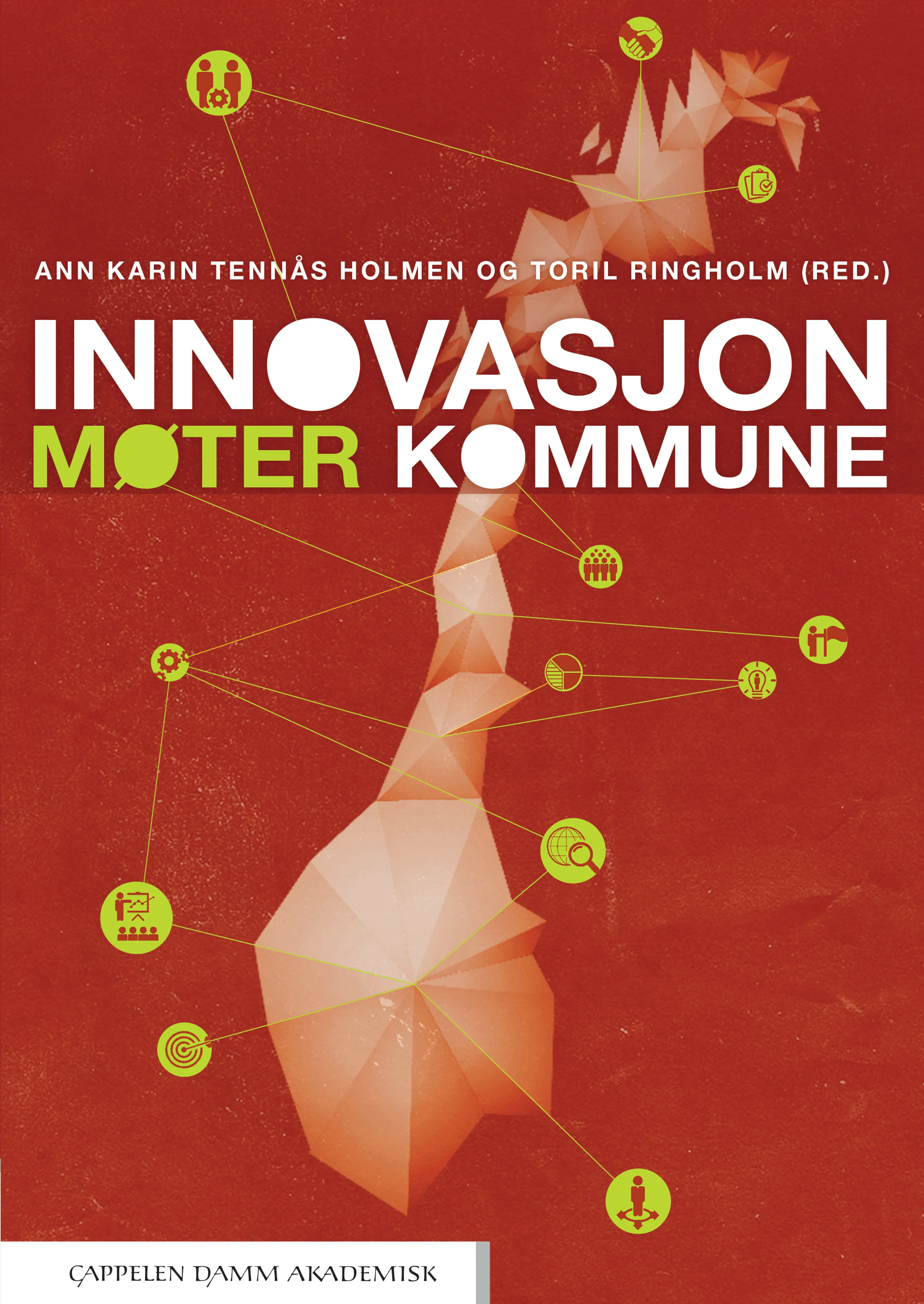 Omslag Innovasjon møter kommune av Ann Karin Tennås Holmen og Toril Ringholm (red.) (Heftet)