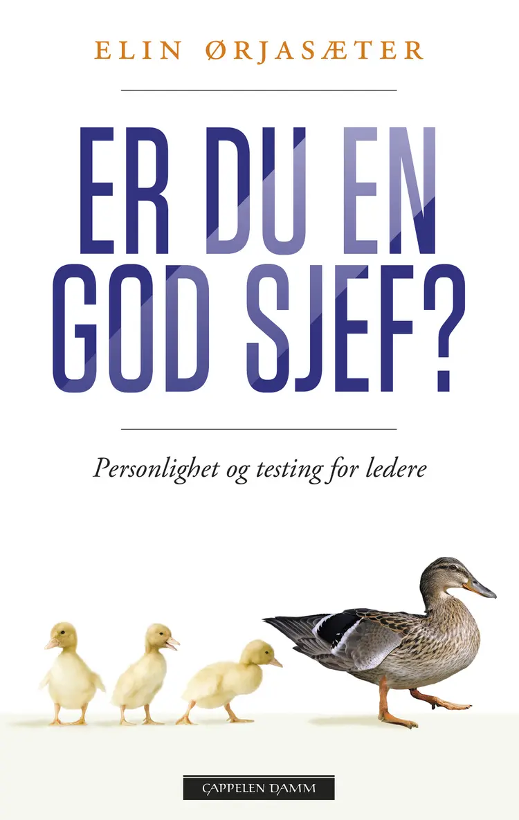 Omslag Er du en god sjef? av Elin Ørjasæter (Innbundet)