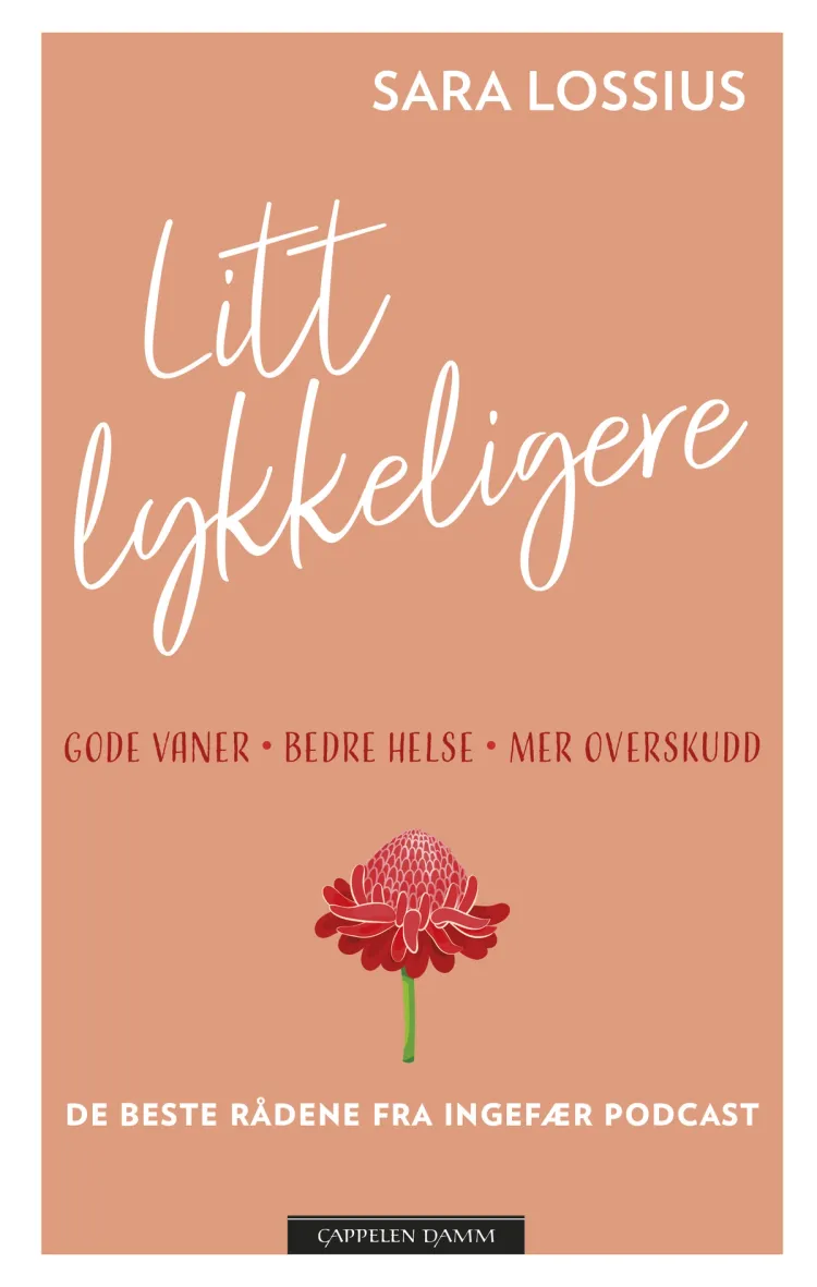 Omslag Litt lykkeligere av Sara Lossius (Innbundet)