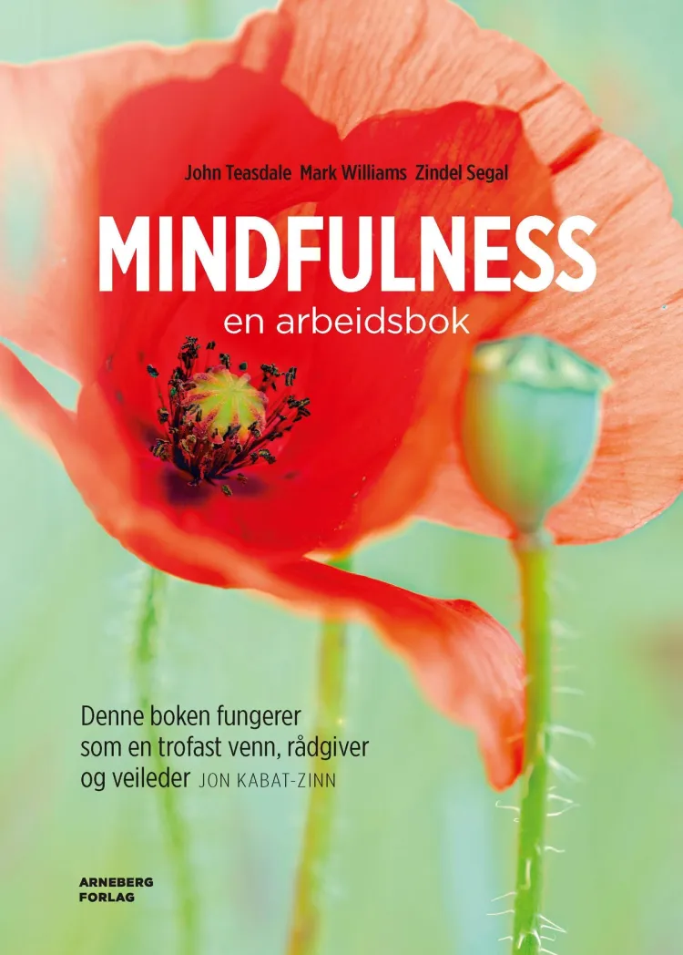 Omslag Mindfulness av John Teasdale, Mark Williams og Zindel Segal (Heftet)