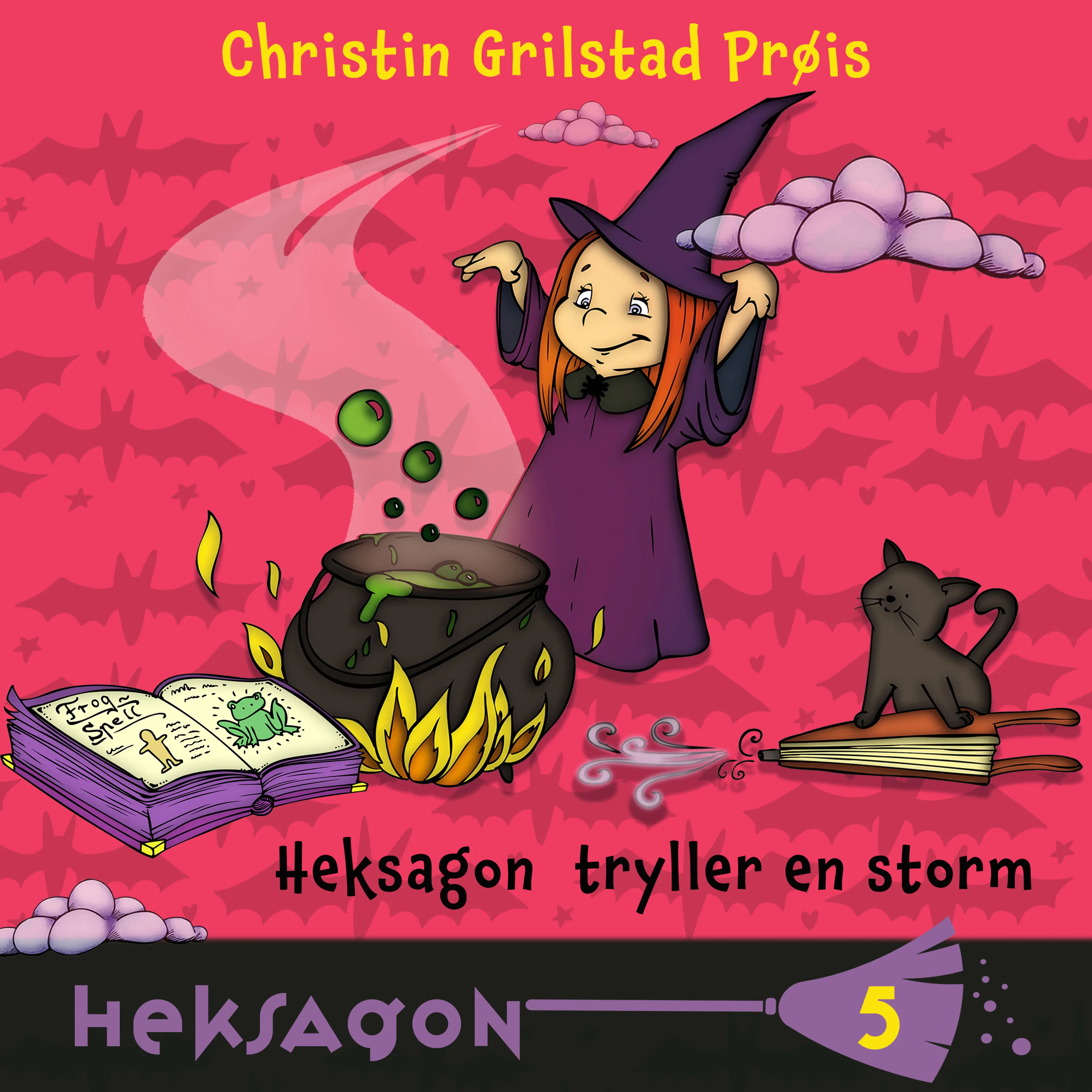 Omslag Heksagon tryller en storm av Christin Grilstad Prøis (Lydbok)