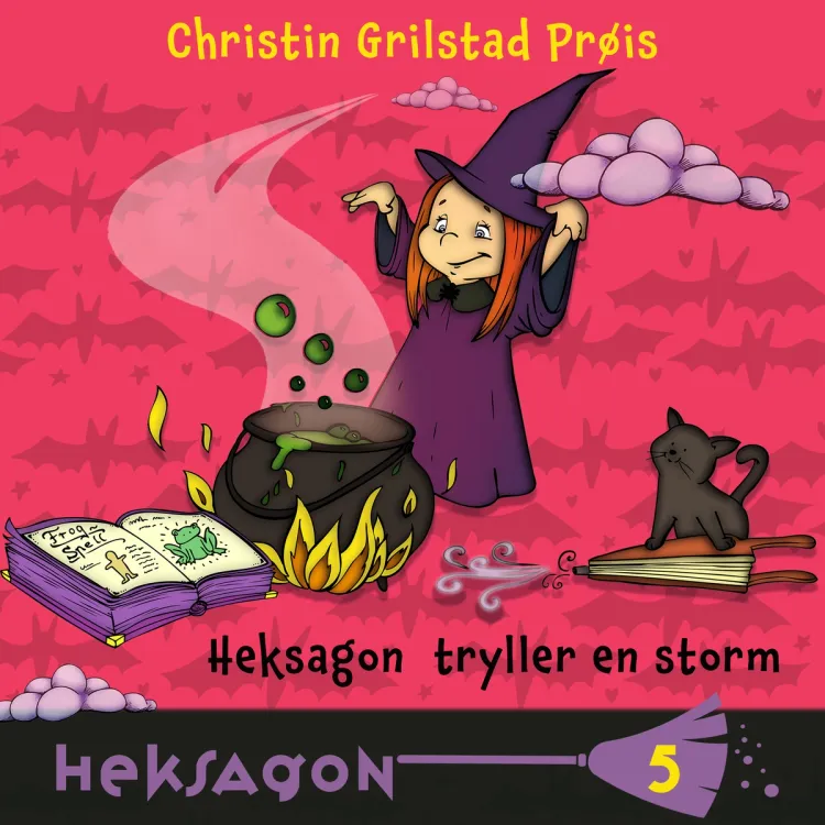 Omslag Heksagon tryller en storm av Christin Grilstad Prøis (Lydbok)