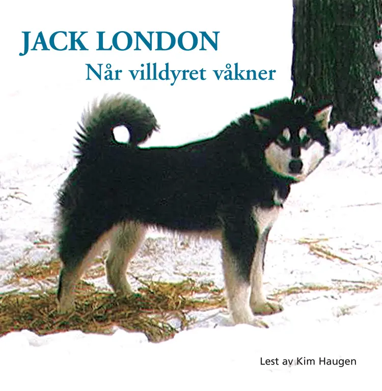 Omslag Når villdyret våkner av Jack London (Lydbok)