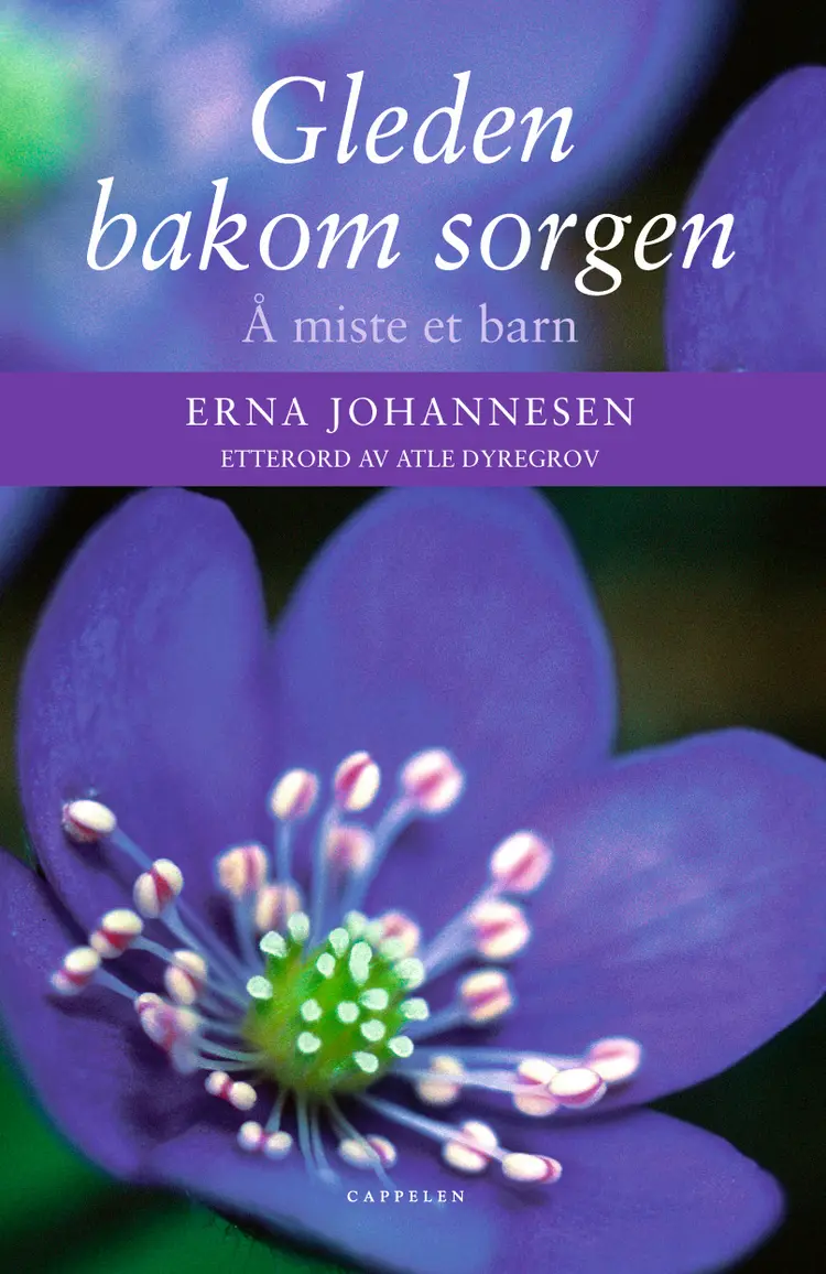 Omslag Gleden bakom sorgen av Erna Johannesen (Innbundet)