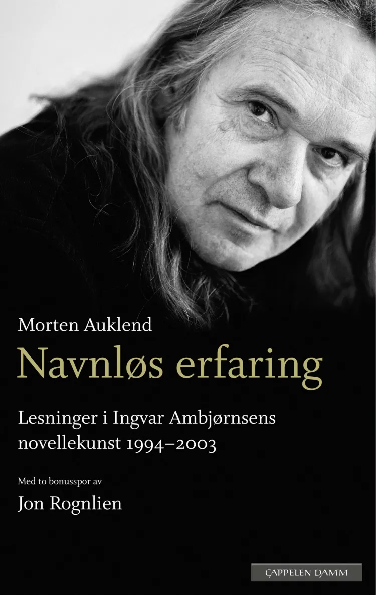 Omslag Navnløs erfaring av Morten Auklend (Ebok)
