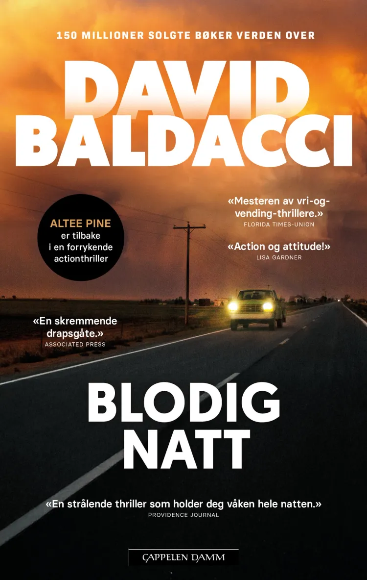 Omslag Blodig natt av David Baldacci (Ebok)