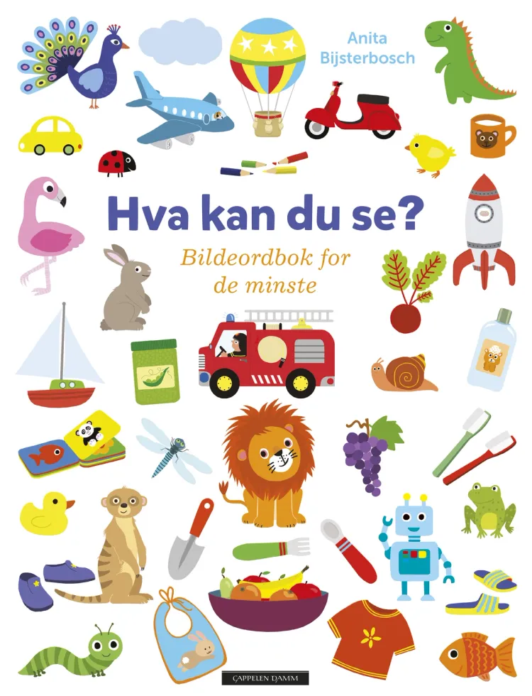 Omslag Hva kan du se? Bildeordbok for de minste av Anita Bijsterbosch (Innbundet)