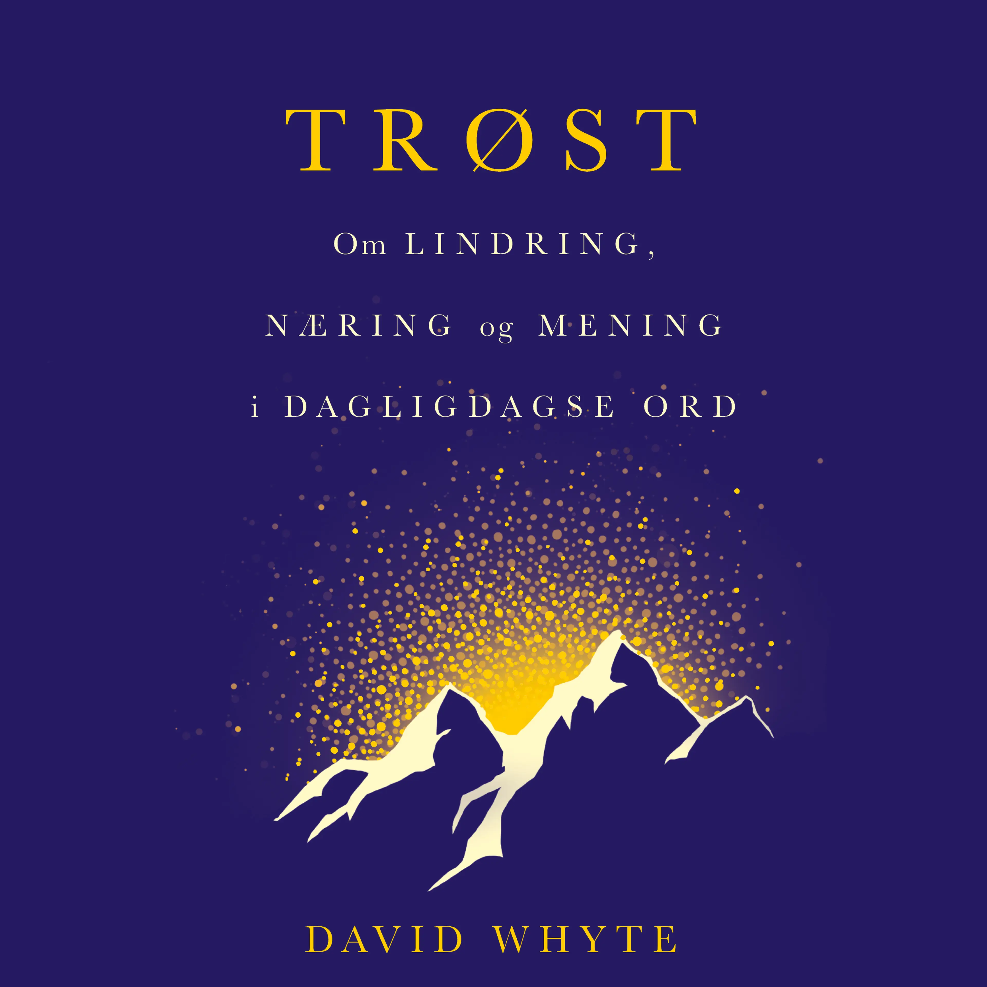 Omslag Trøst av David Whyte (Lydbok)