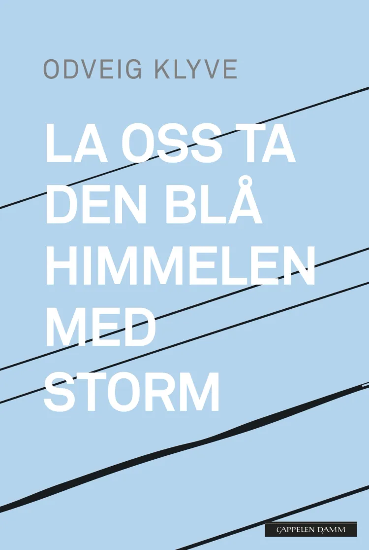 Omslag La oss ta den blå himmelen med storm av Odveig Klyve (Innbundet)