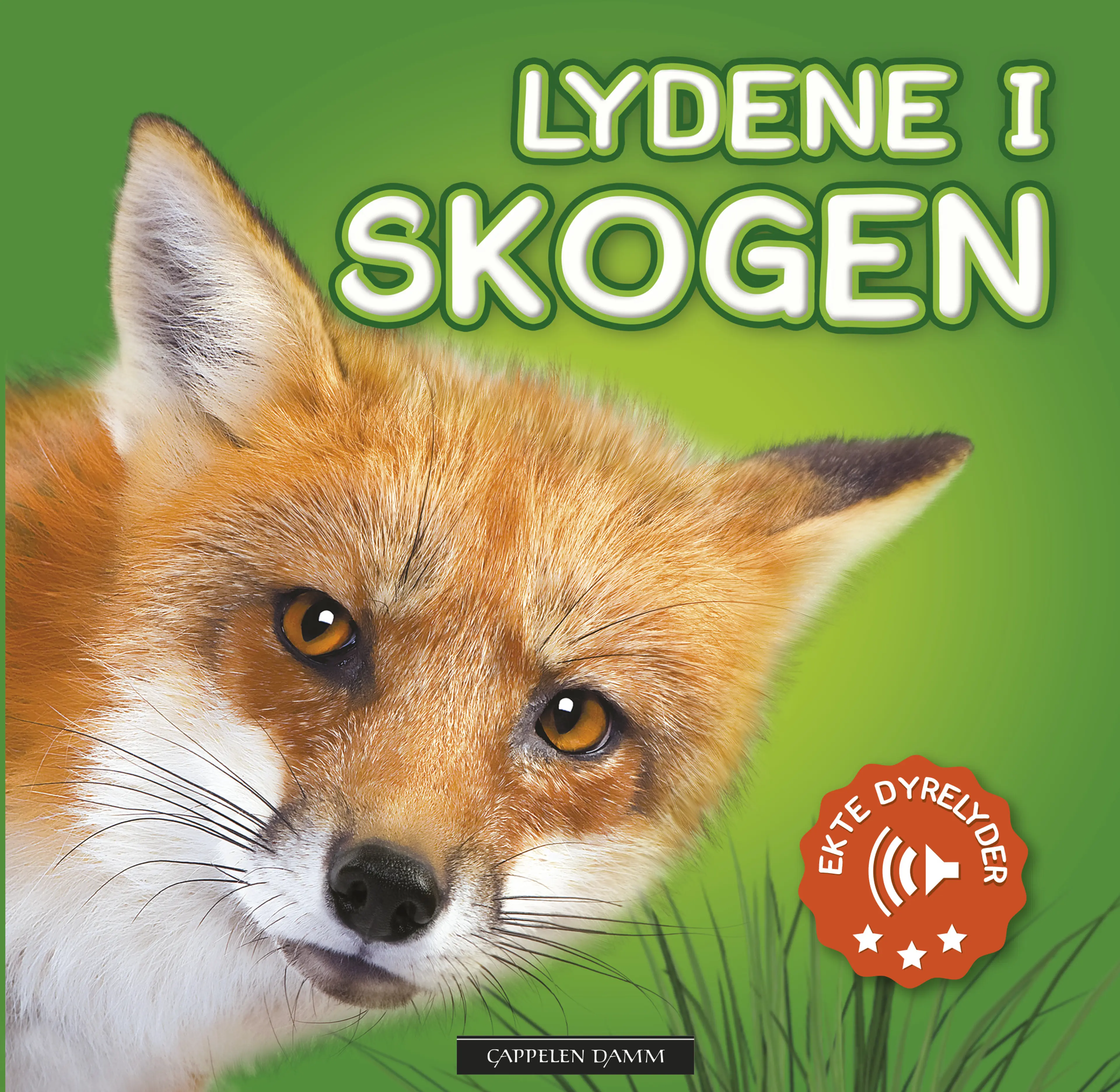 Omslag Lydene i skogen (Innbundet)