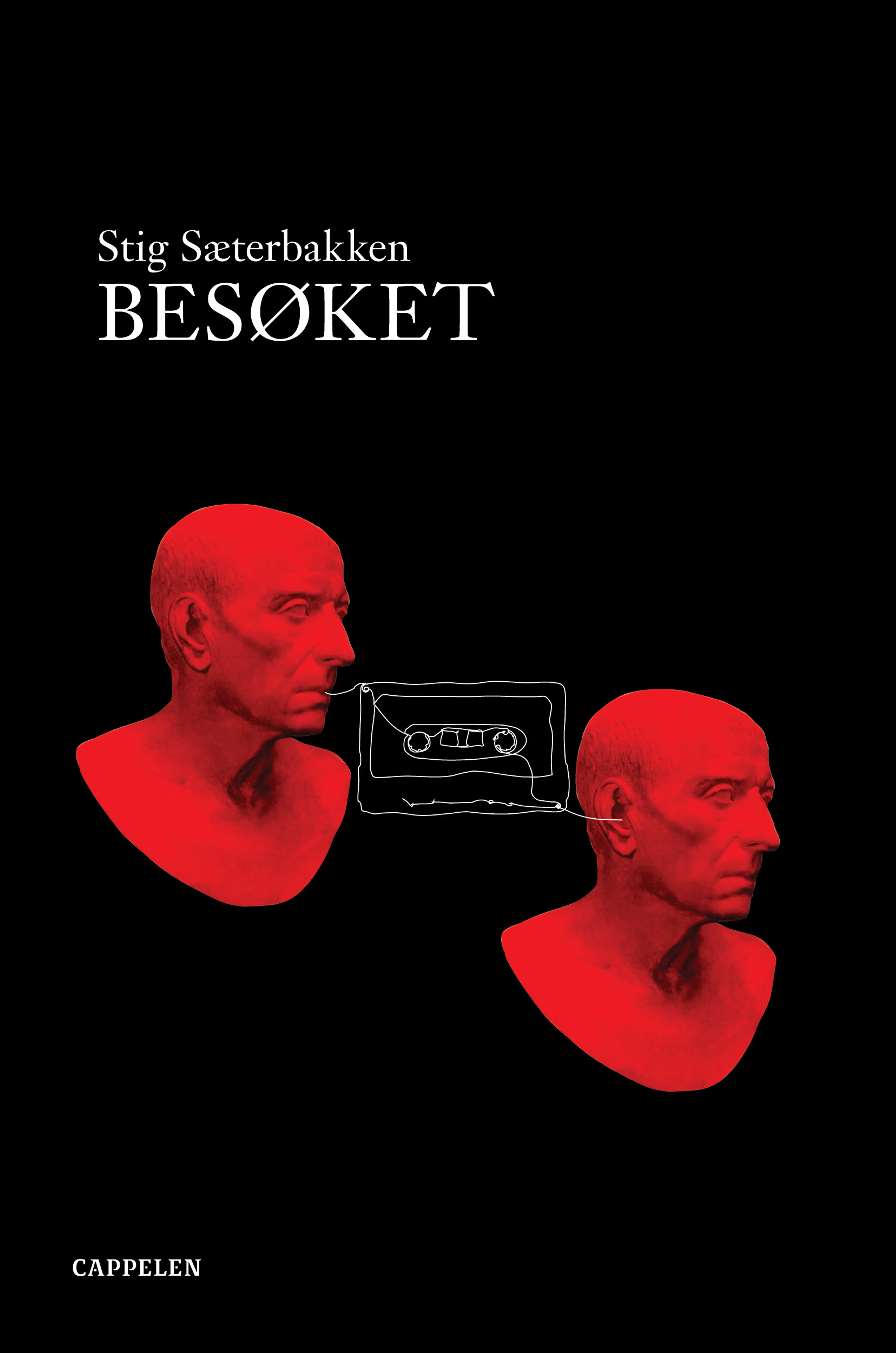 Omslag Besøket av Stig Sæterbakken (Innbundet)